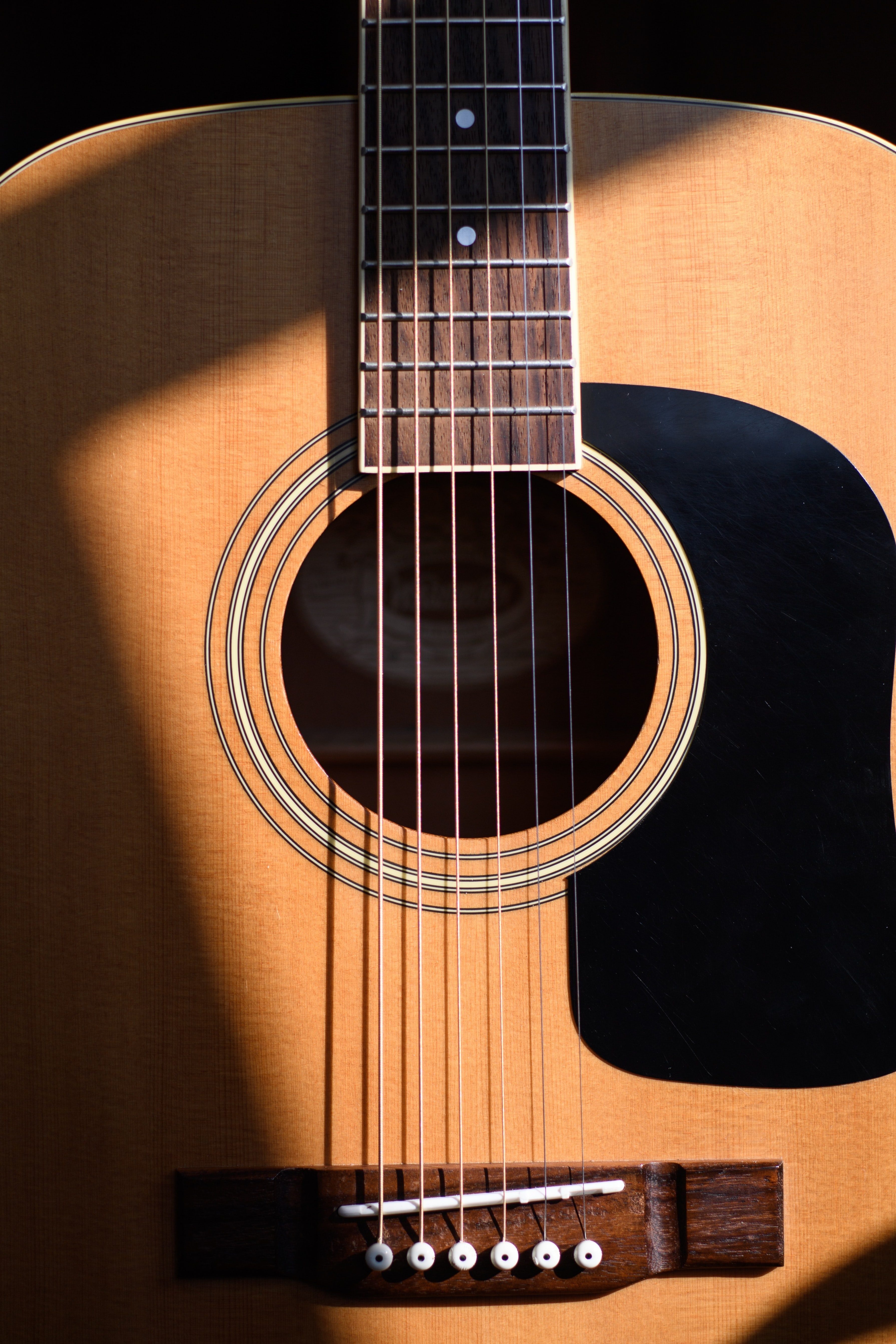 Guitartastic Standard Test Brand