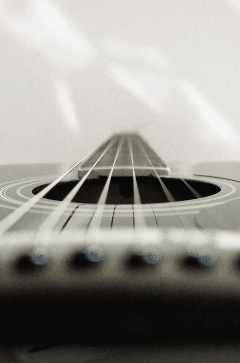 Pickup 12 String Guitar Strings